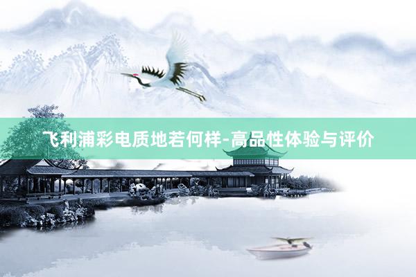 飞利浦彩电质地若何样-高品性体验与评价